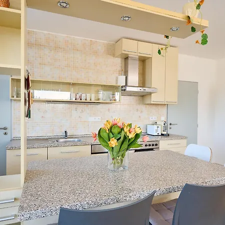Appartement Certovka-4 By Interhome Harrachov