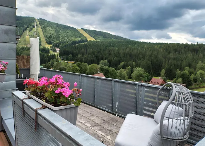 Certovka-4 By Interhome Appartement Harrachov